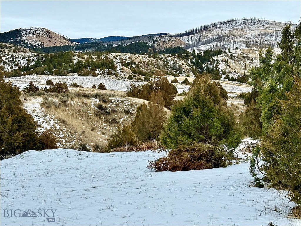 Ponderosa Pines - Residential