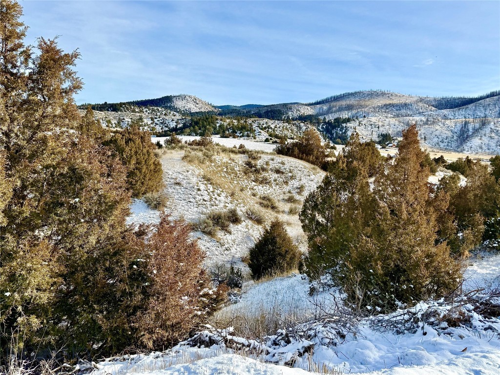 Ponderosa Pines - Residential