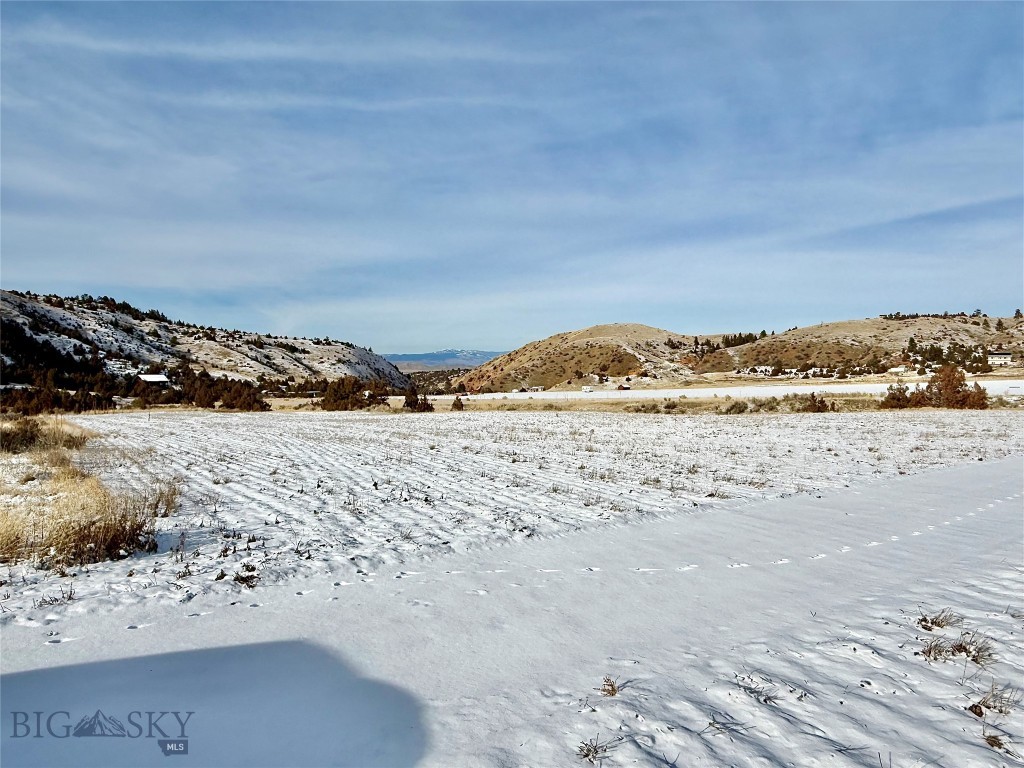 Ponderosa Pines - Residential