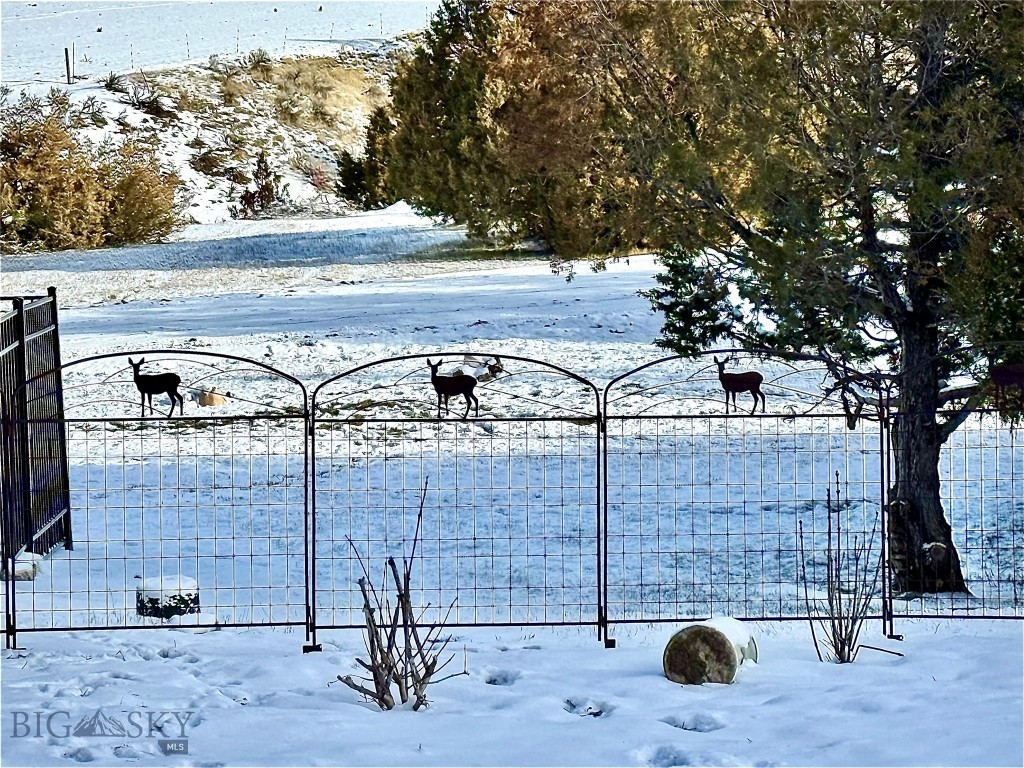 Ponderosa Pines - Residential