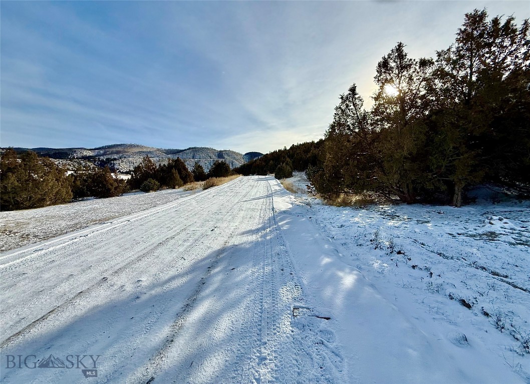 Ponderosa Pines - Residential