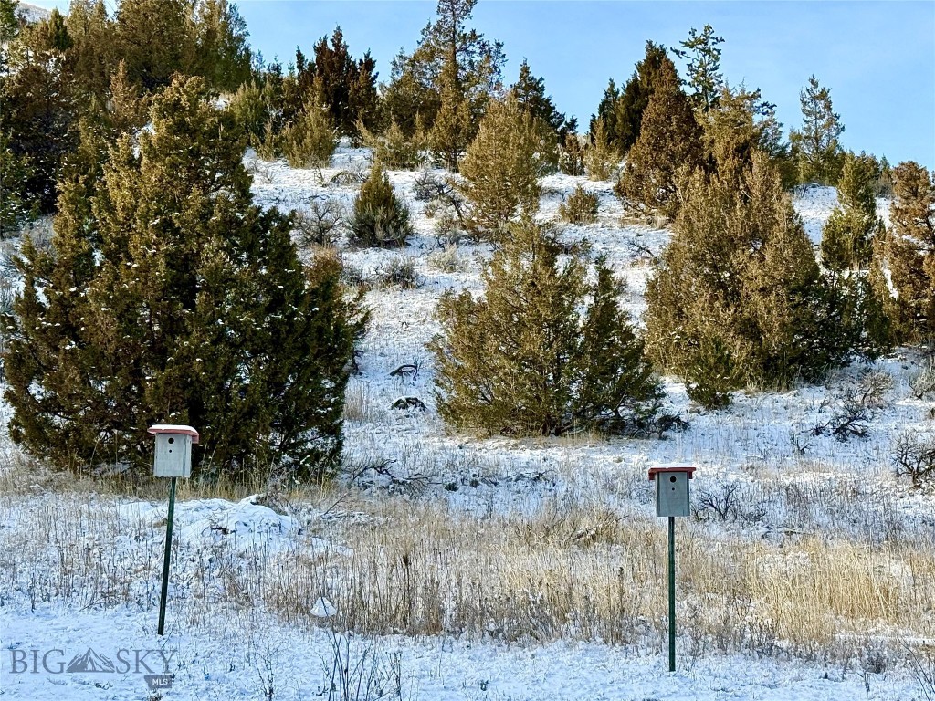 Ponderosa Pines - Residential