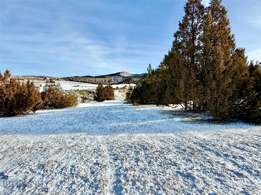 Ponderosa Pines - Residential