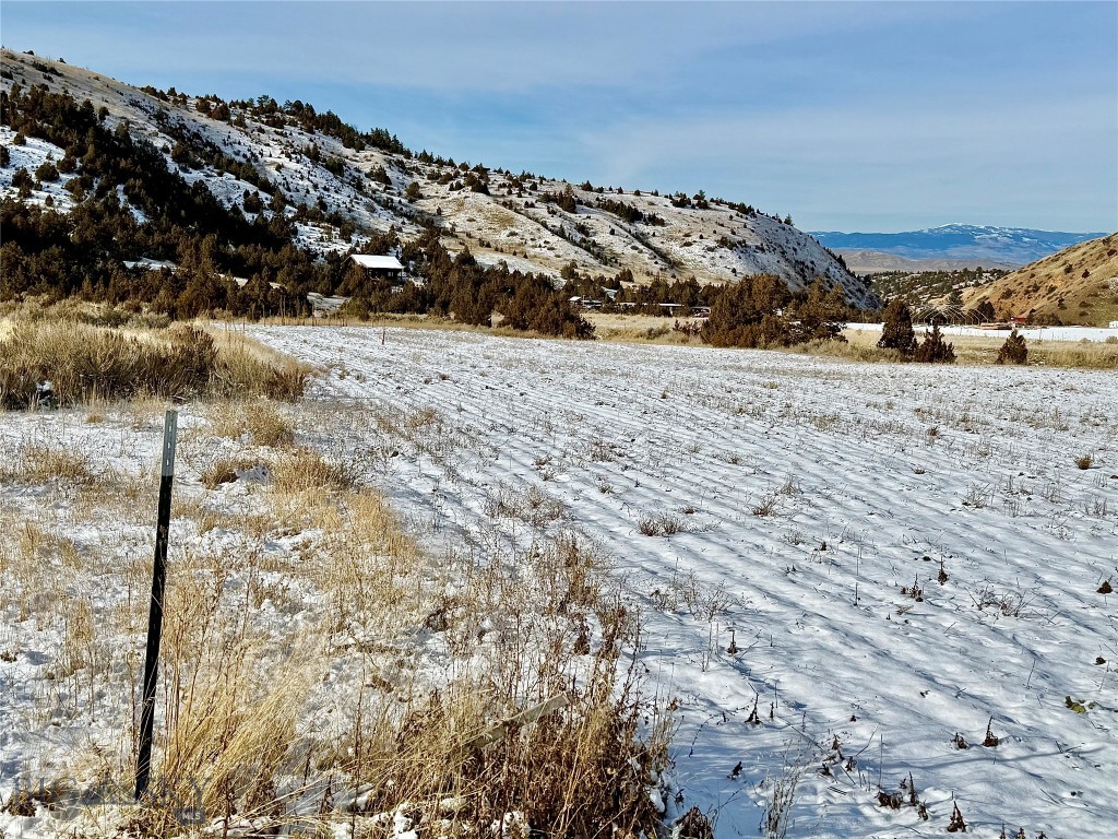 Ponderosa Pines - Residential