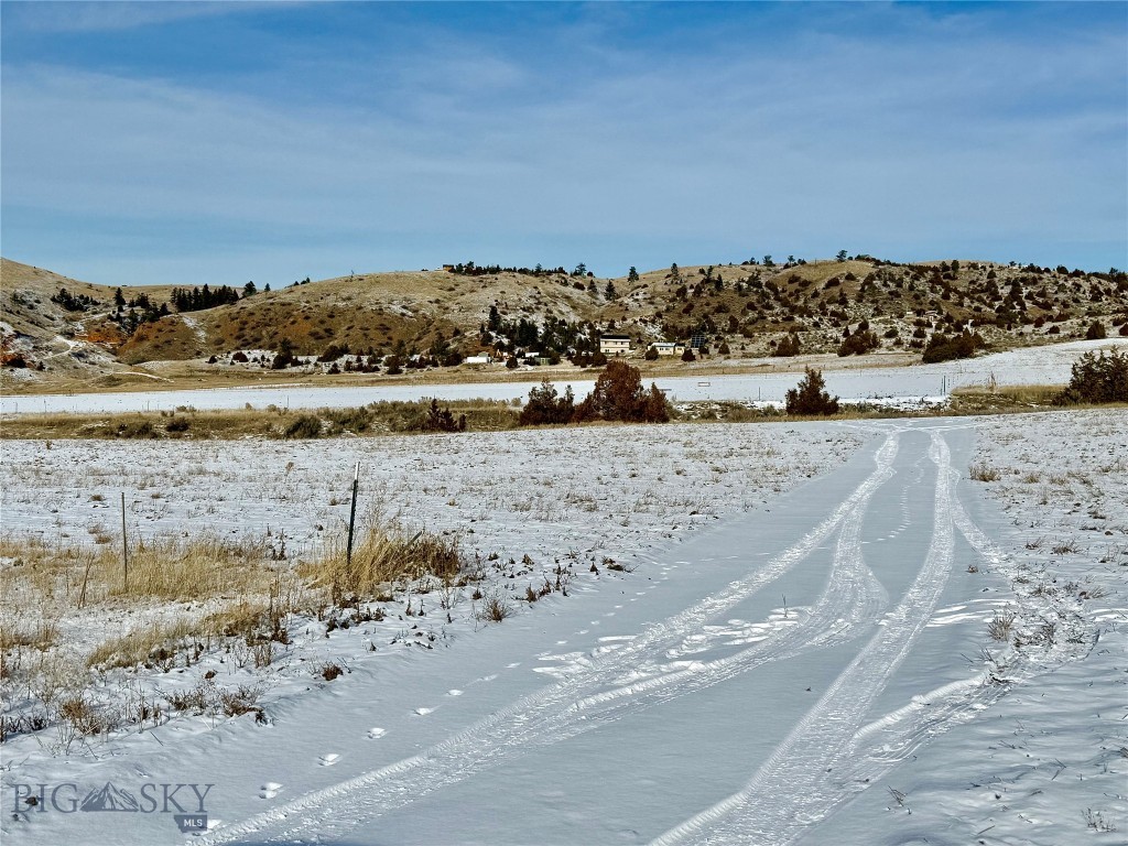 Ponderosa Pines - Residential