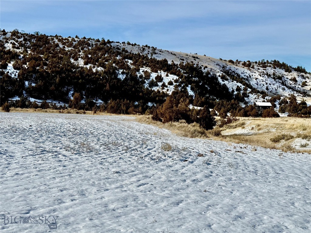 Ponderosa Pines - Residential