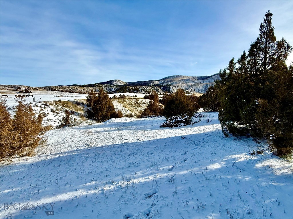 Ponderosa Pines - Residential