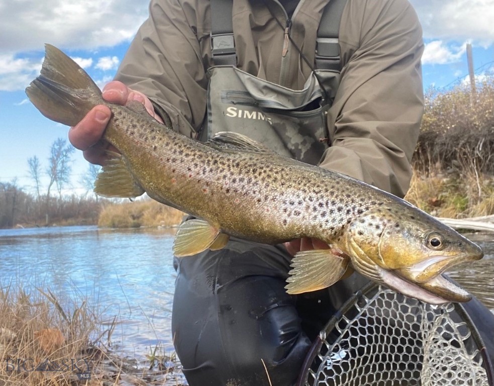 Rainbow - Residential