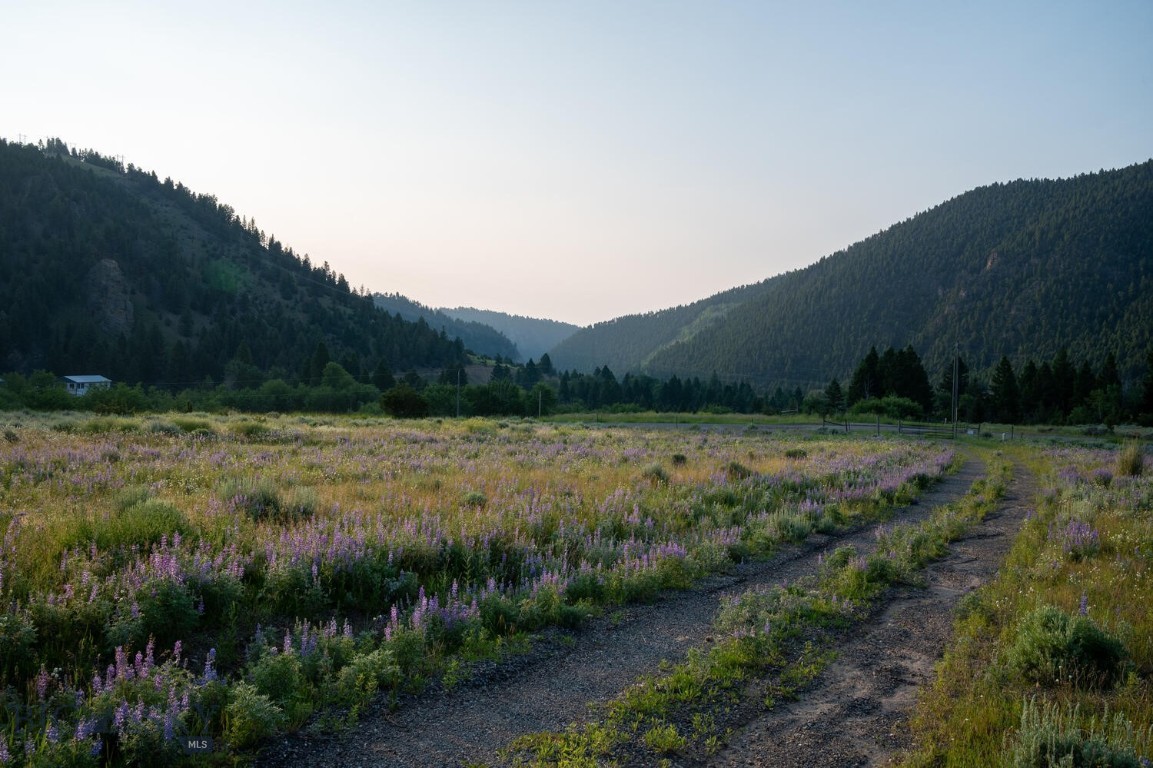 40 Cataract Creek Rd Road