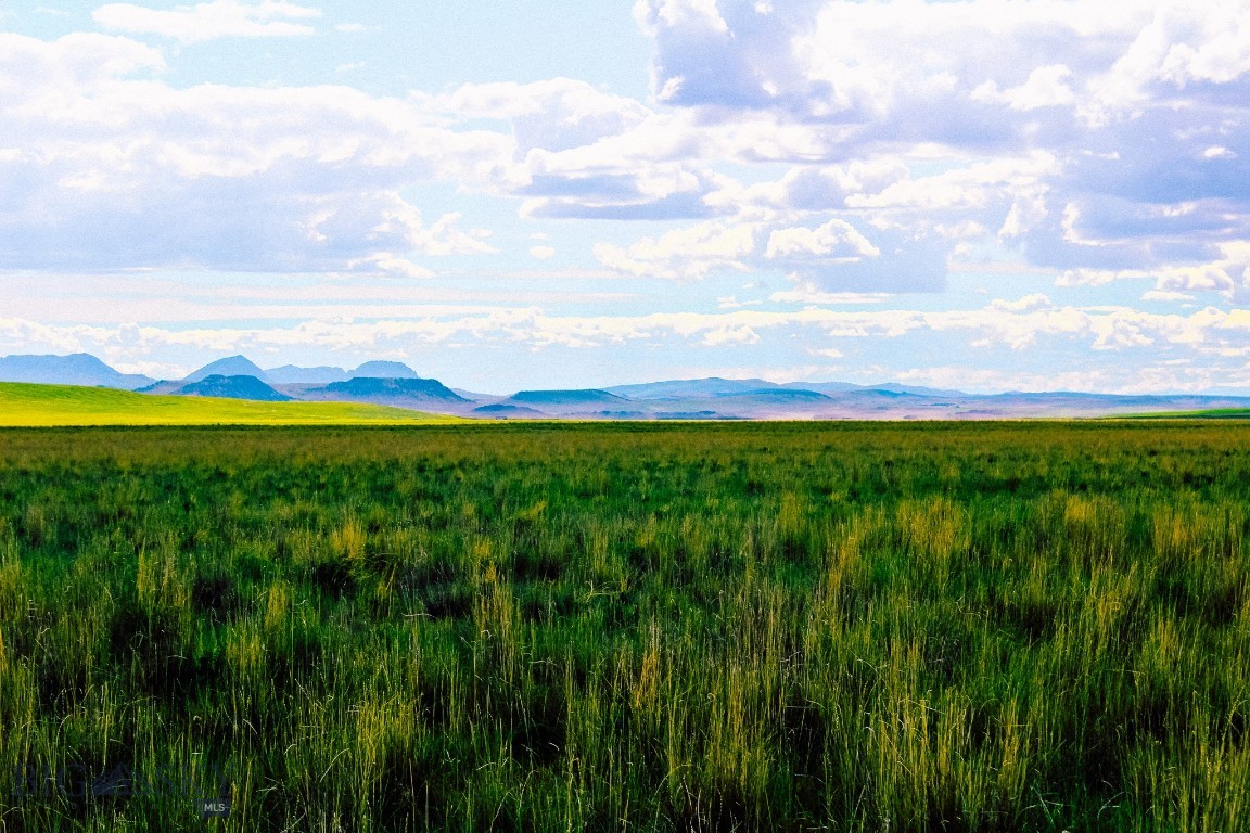 Other - Land