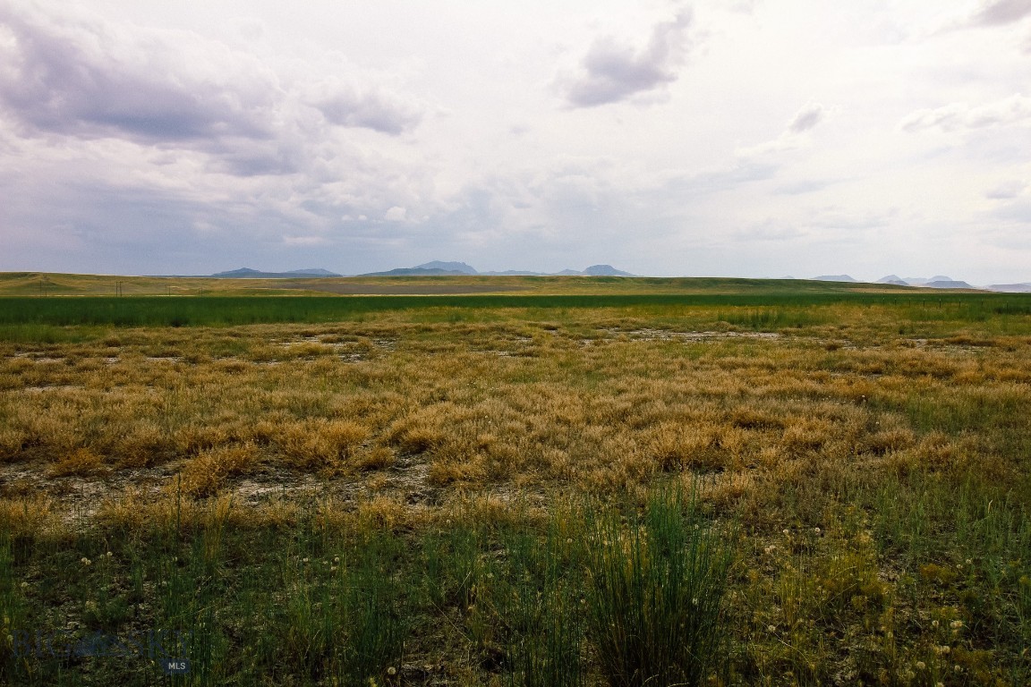 Muddy Creek Ranch