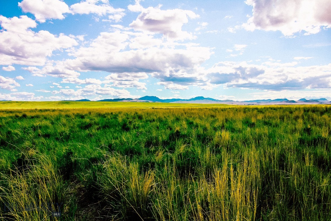 Other - Land