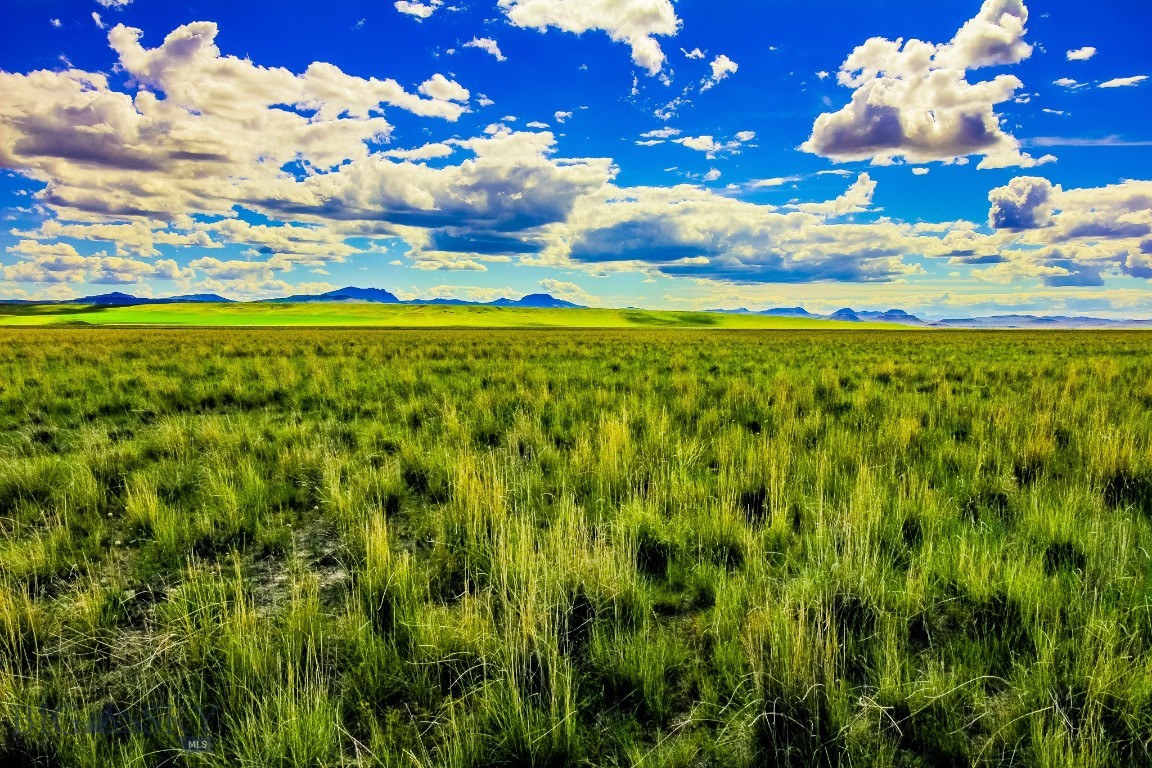 Other - Land