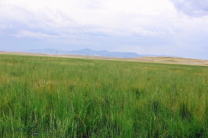 Little Muddy Creek Ranch is comprised 1066.52+/- acres, privacy and views are in abundance, with Little Muddy Creek meandering throughout. The views and sporting opportunities here are second to none. A Ducks Unlimited private land sanctuary pond has been constructed along the SE property boundaries of several of the ranch. 2321 acres of state land that borders to the north is also accessible. 2.7 miles of overhead power service line runs to the NE boundary of the ranch. Little Muddy Creek Ranch is located 7 miles Northwest of of Cascade. Sellers will owner finance at 5% interest with terms.