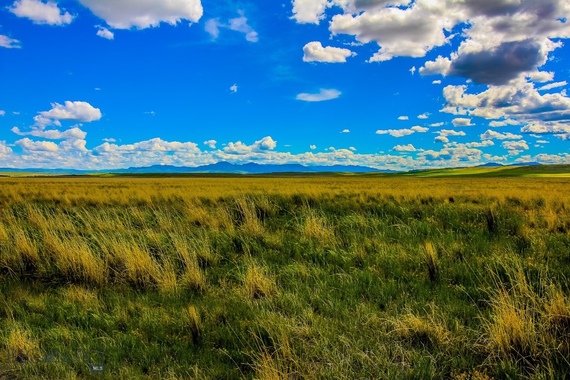 Other - Land