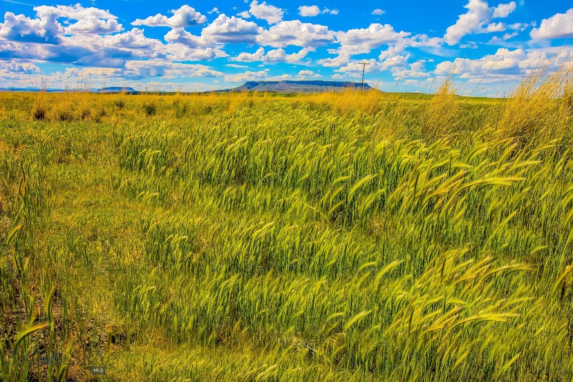 Other - Land