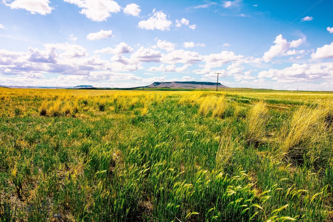 Other - Land