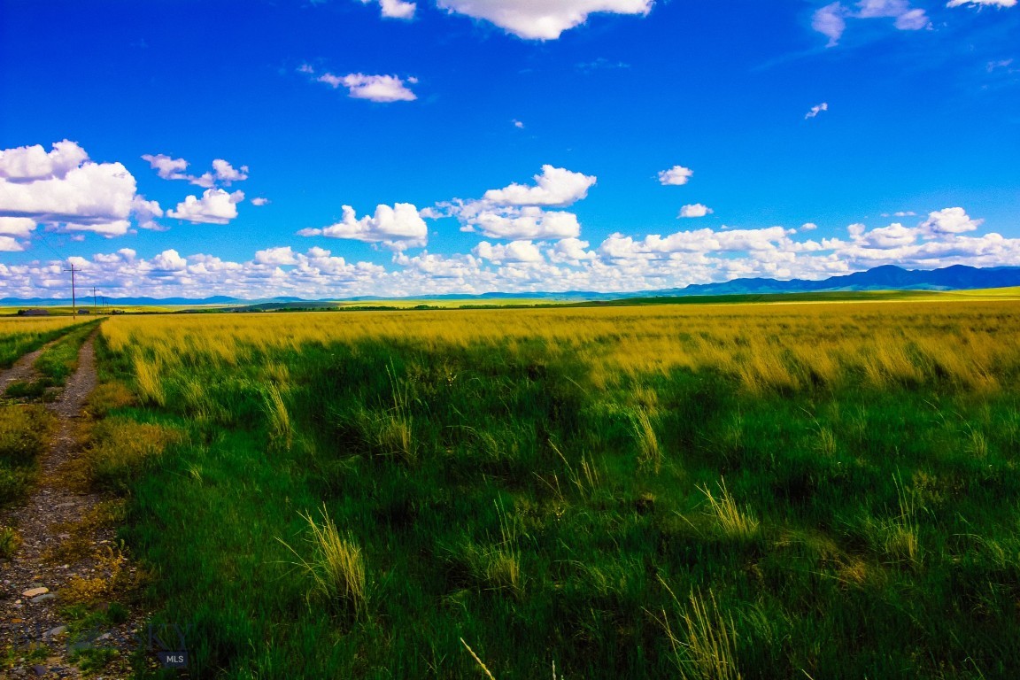 Other - Land