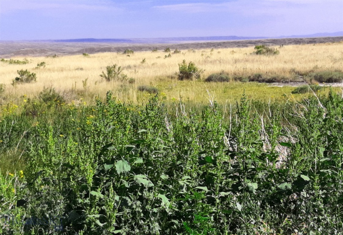 Other - Land