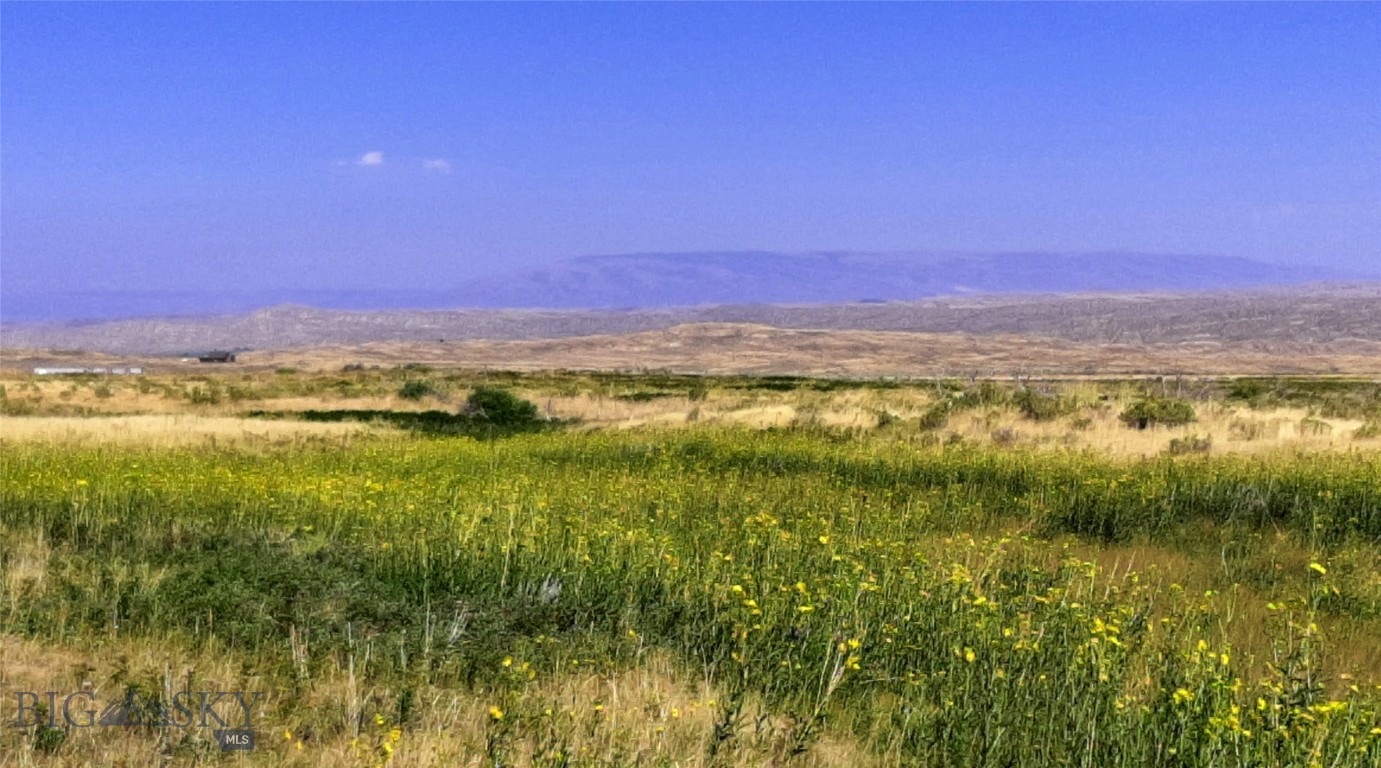 Other - Land