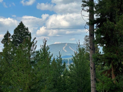 Photo of 13 Discovery View Lane, Anaconda, MT 59711 (MLS # 412732)