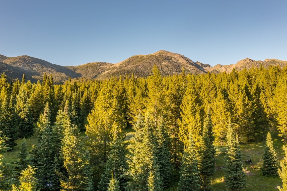 Moonlight Basin Ranch - Land