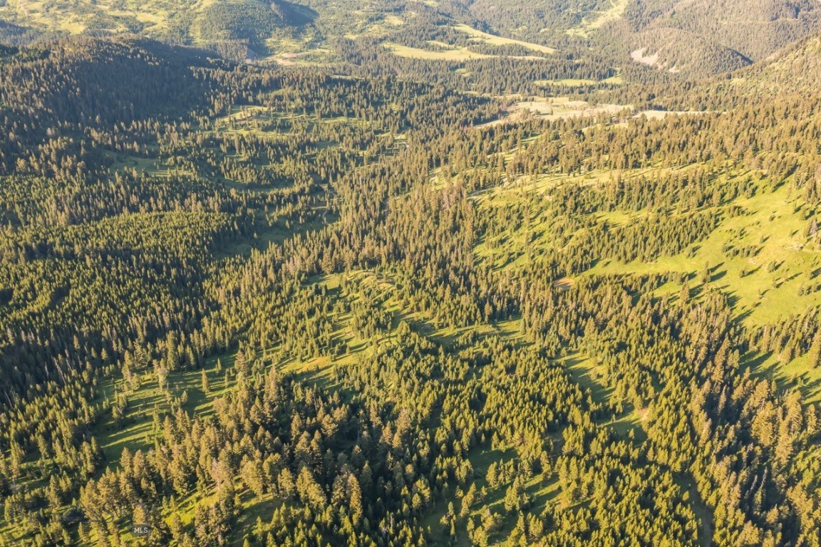 Moonlight Basin Ranch - Land