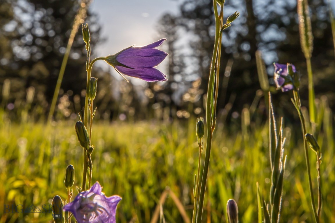 Moonlight Basin Ranch - Land