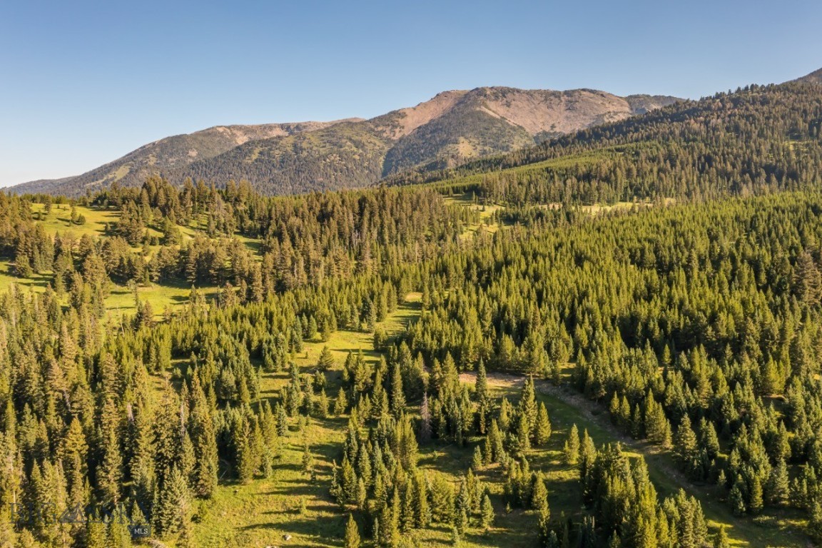 Moonlight Basin Ranch - Land
