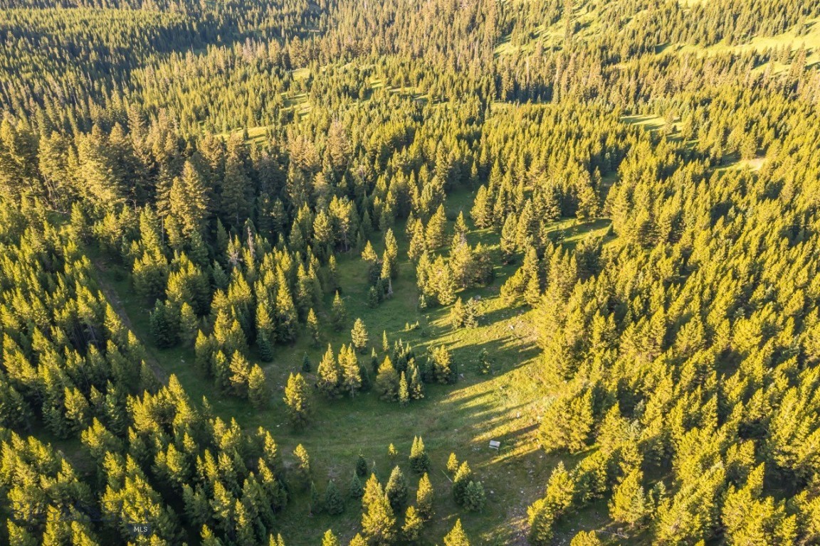 Moonlight Basin Ranch - Land
