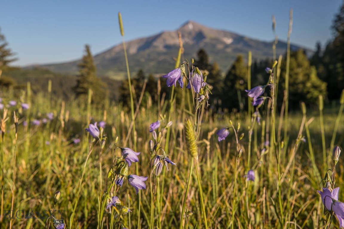Moonlight Basin Ranch - Land