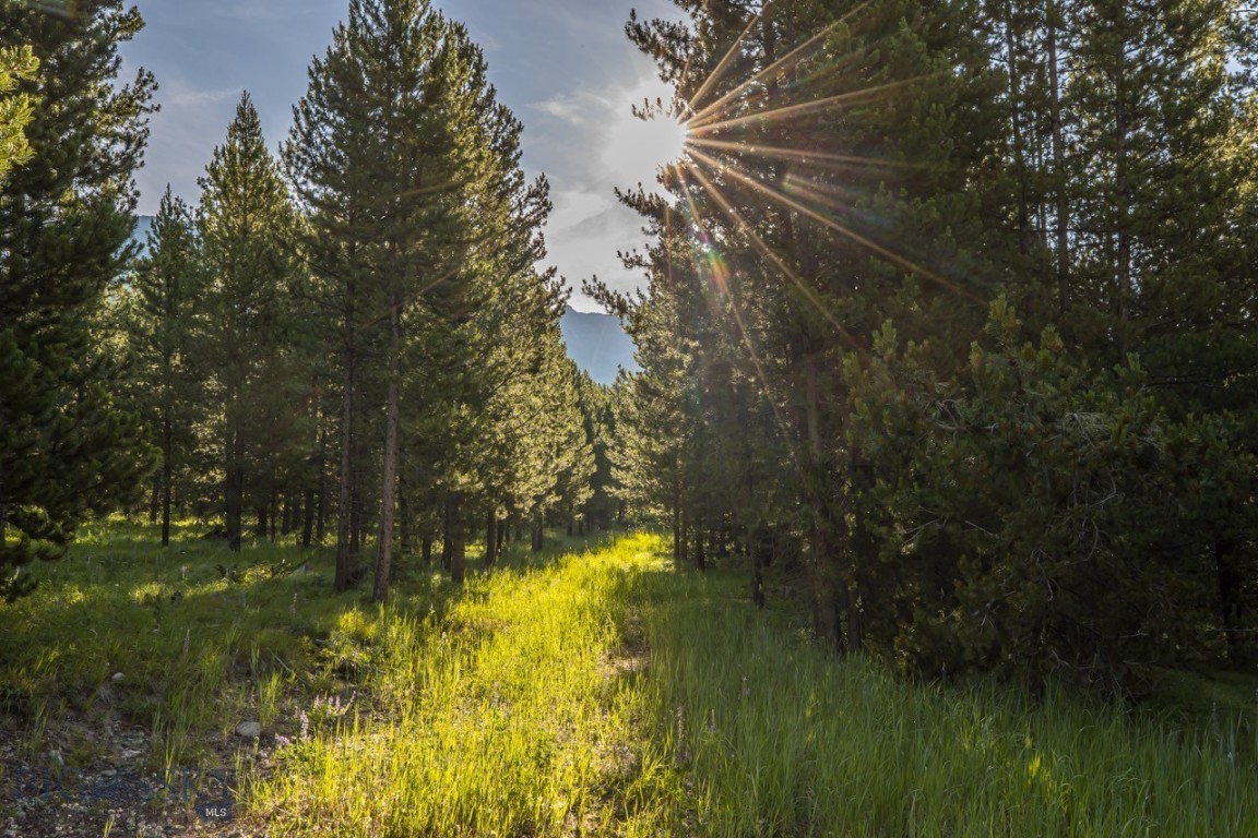 Moonlight Basin Ranch - Land