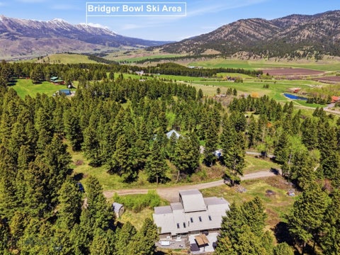 Photo of 4754 Meadow Lane, Bozeman, MT 59715 (MLS # 410976)