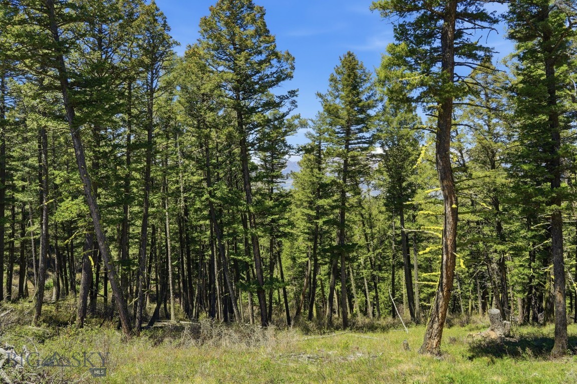 Aspen Meadows - Residential