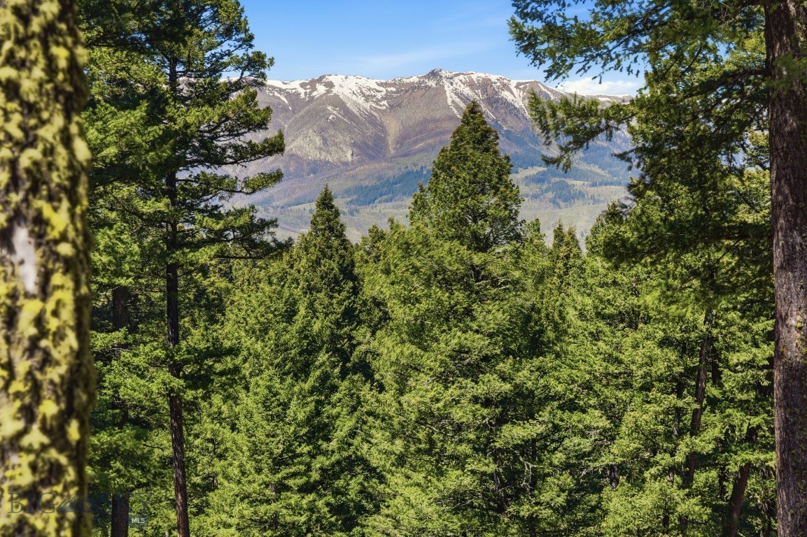 Aspen Meadows - Residential