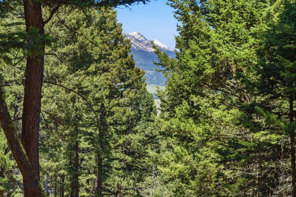 Aspen Meadows - Residential