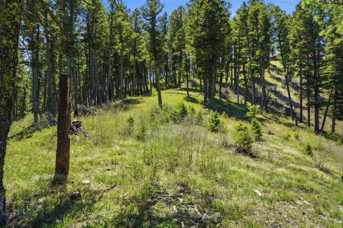 Aspen Meadows - Residential