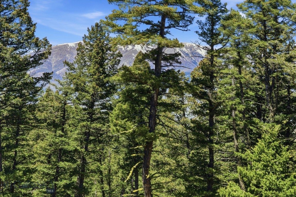 Aspen Meadows - Residential