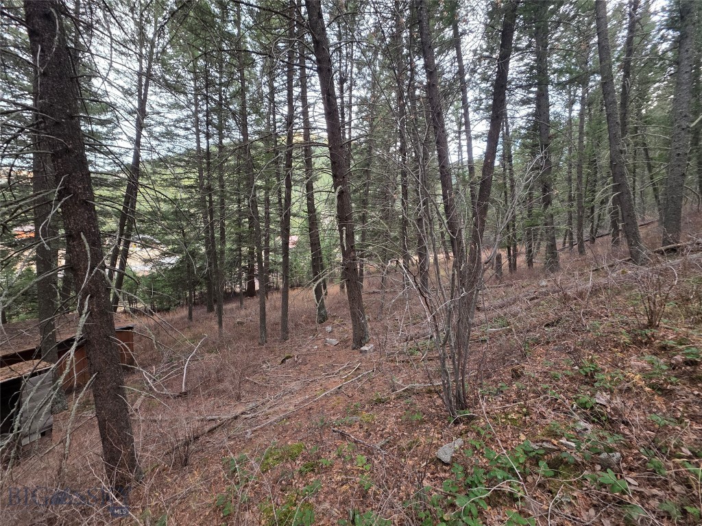 Gallatin Canyon - Land