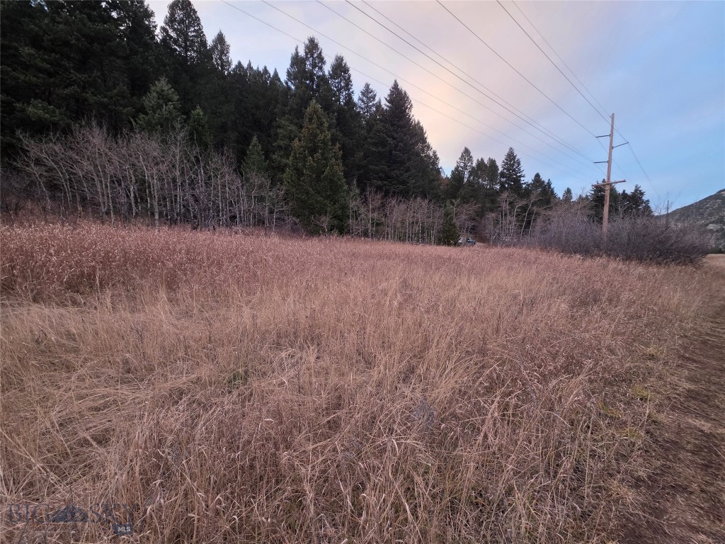 Gallatin Canyon - Land