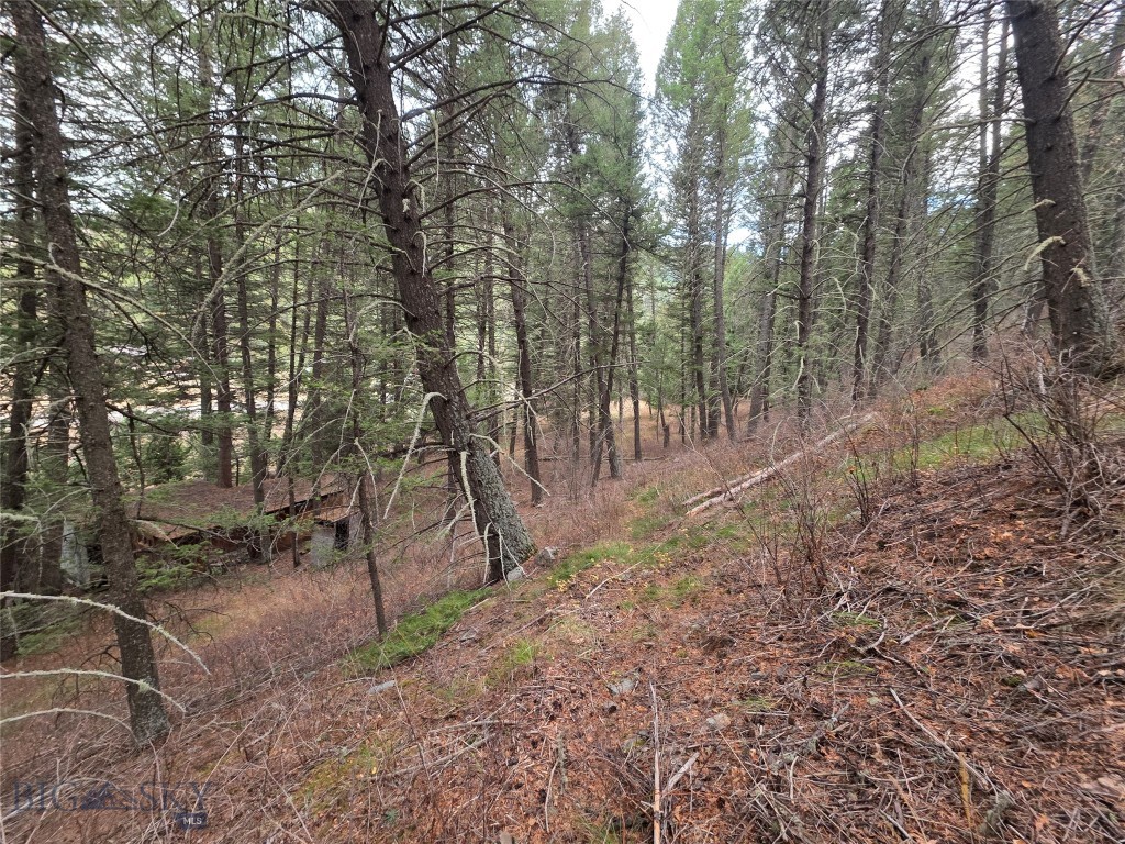 Gallatin Canyon - Land