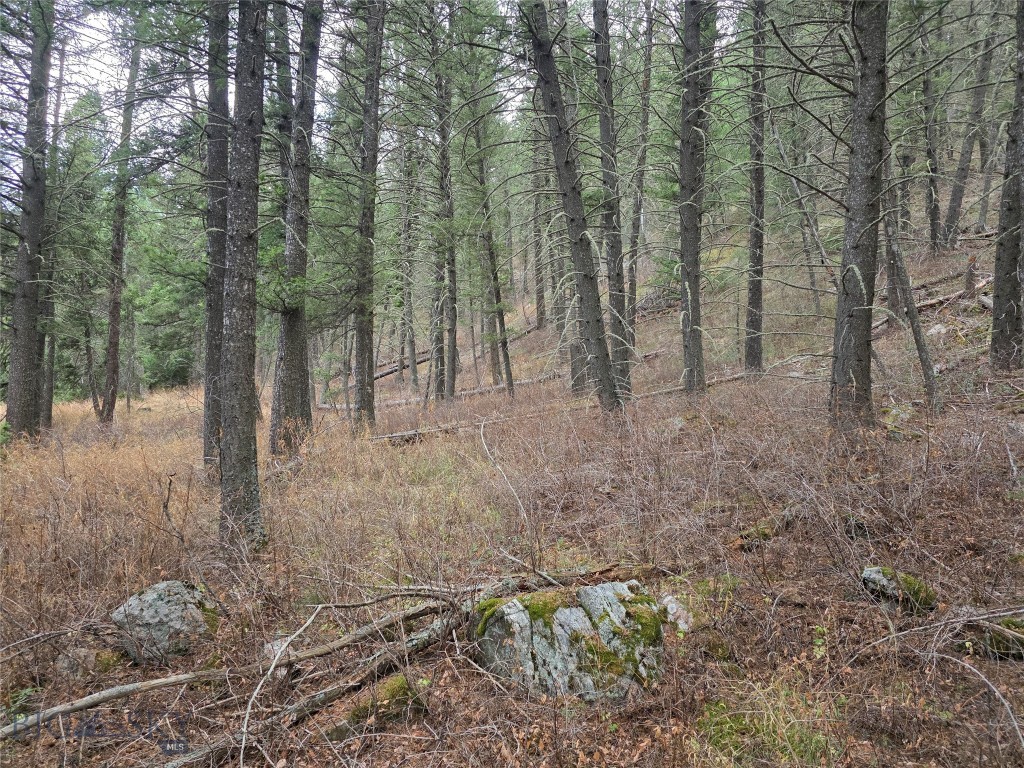 Gallatin Canyon - Land