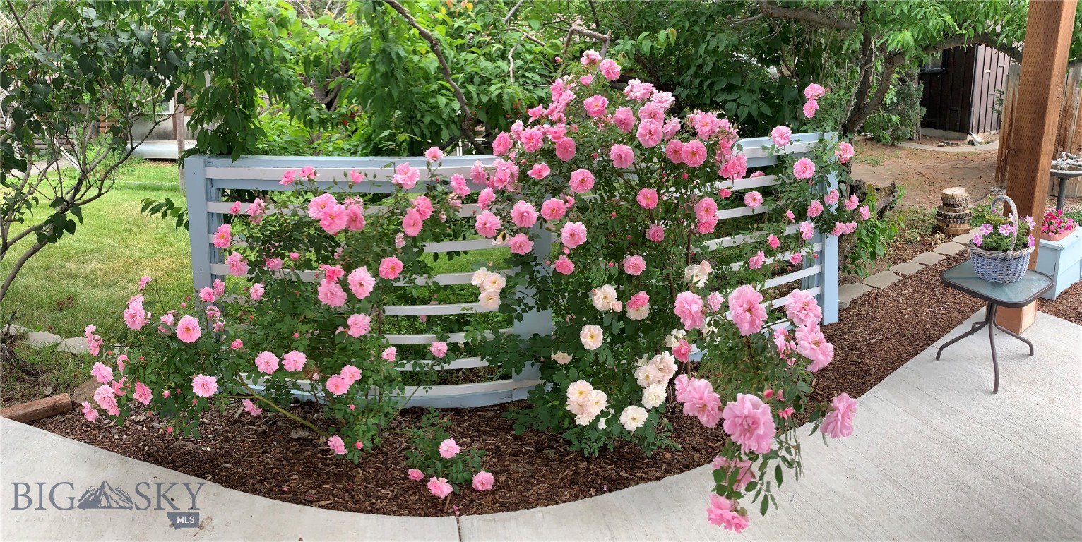 Park Addition - Residential