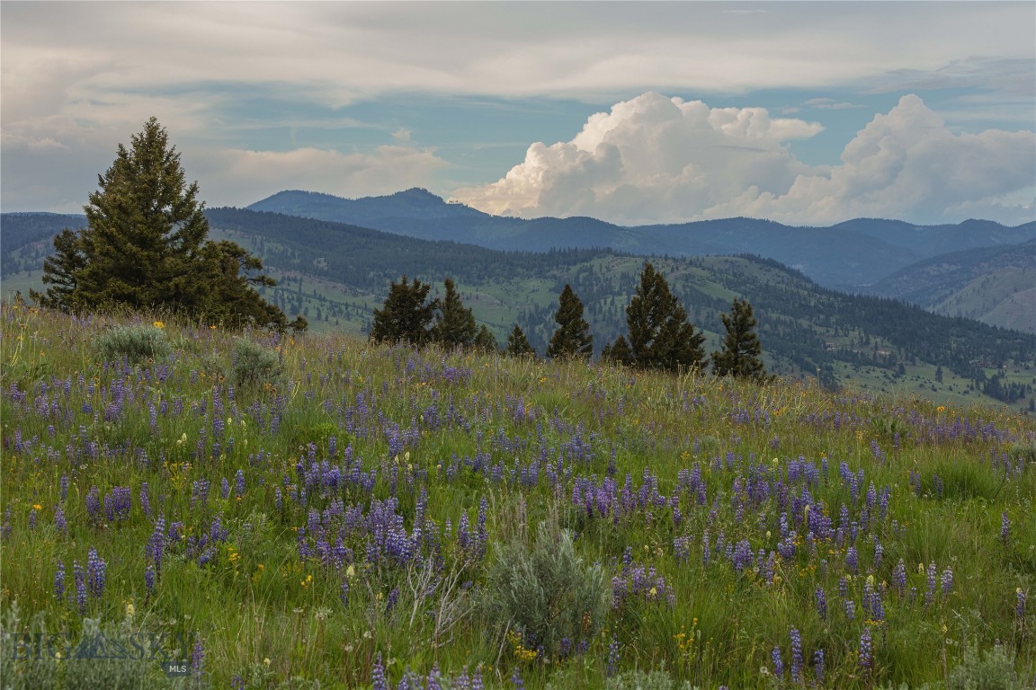 157.07 +/- Acre Lot With Views Of The Clark Fork River, Wild Flowers And Beautiful Building Sites. (Update! New Well) Borders Forest Service. Improved roads! This stunning property near Drummond in Granite County offers a rare blend of seclusion, natural beauty, and versatility. With expansive views of the Clark Fork River, mix of wooded areas, and open pasture, it’s ideal for those seeking a peaceful retreat, homestead, or recreational getaway. The land is buildable, off-grid, and borders Forest Service—perfect for hunting, hiking, or simply enjoying nature. Whether you're looking to invest, build a residence, or establish a hobby farm, this large acreage offers endless potential. With private road access and owner financing available, this scenic property is truly a nature lover’s paradise.