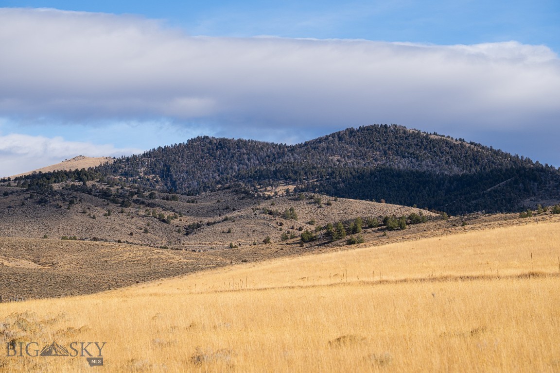 TBD Buster Brown Road