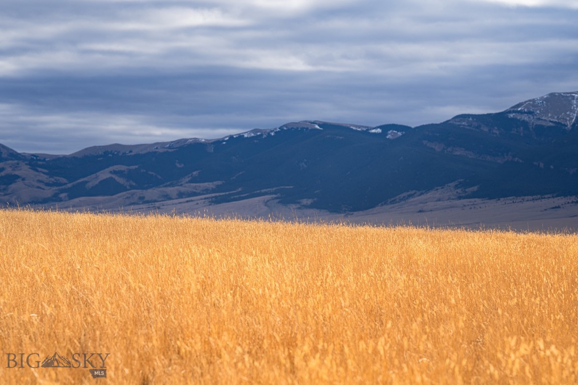 TBD Buster Brown Road
