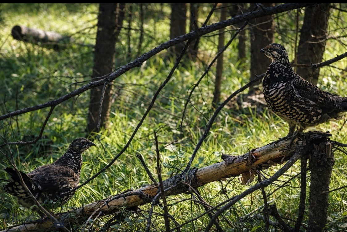 Jefferson Valley Estates - Residential