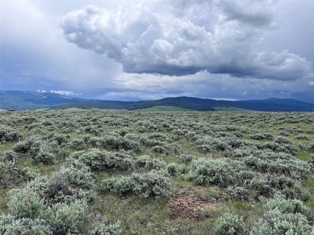 Located in the heart of Big Hole Country near the small quaint town of Wisdom, MT are a cluster of 20+ acre parcels that will make you an excellent location for your new home. Some parcels are bordered by a ranch under a conservation easement helping to protect magnificent mountain views, seclusion and privacy. Call listing agent for a full list of available lots!! Sub-division accessed by the county maintained Steel Creek Road, you are only minutes from National Forest lands adding tens of thousands of acres awaiting your exploration. The historic Big Hole Battlefield, Elkhorn Hot Springs, Jackson Hot Springs, Crystal Park, Chief Joseph Cross Country Ski Trails & Maverick Ski hill, Bannack State Park, Kayaking & Canoeing, River Rafting, and of course.....Montana Blue Ribbon Trout fishing could all be a part of your new playground. The properties have level ground, draws and gently sloping foothills creating interesting topography and power is available in the area. In Montana you don't just buy a property - you purchase a new lifestyle. Don't miss this opportunity to begin your new life today.