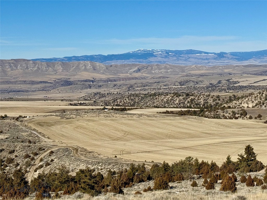 Ponderosa Pines - Residential