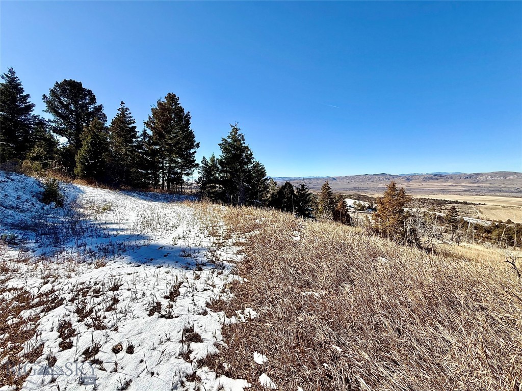 Ponderosa Pines - Residential